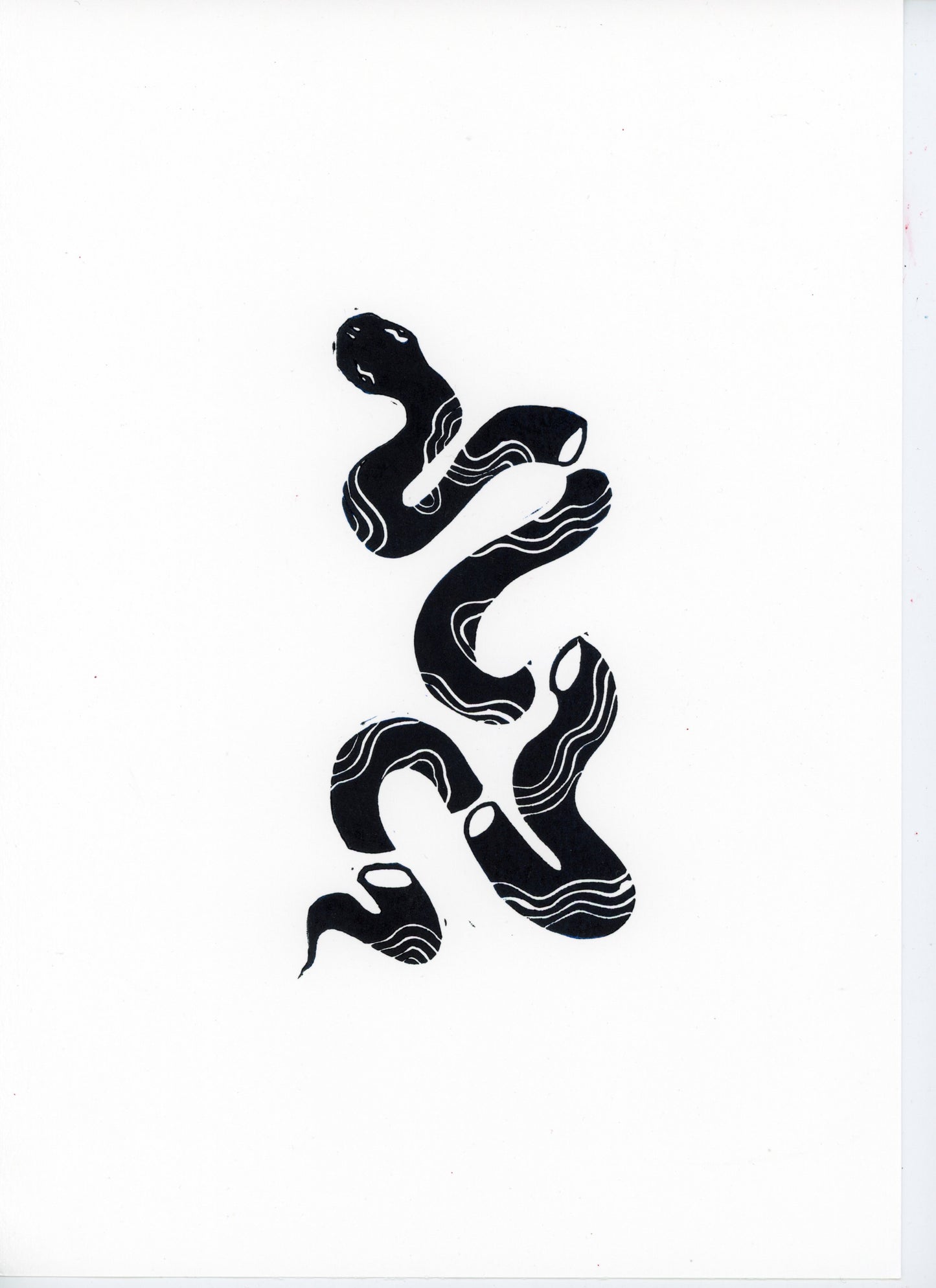 'Diced snake 2’ original print