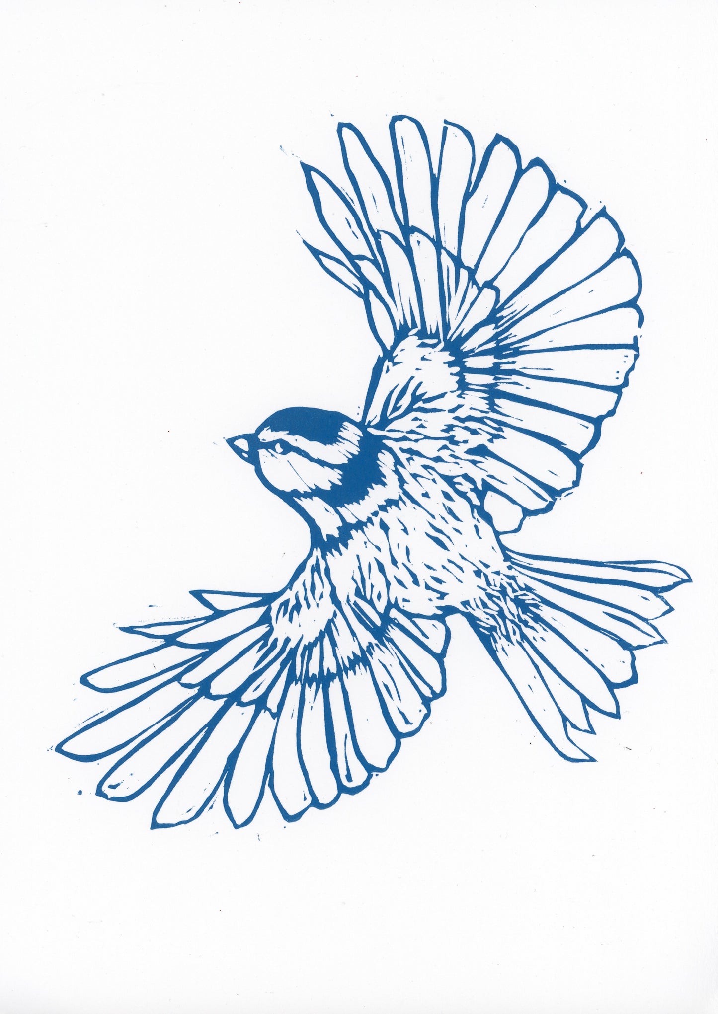 'Blue Tit’ original print