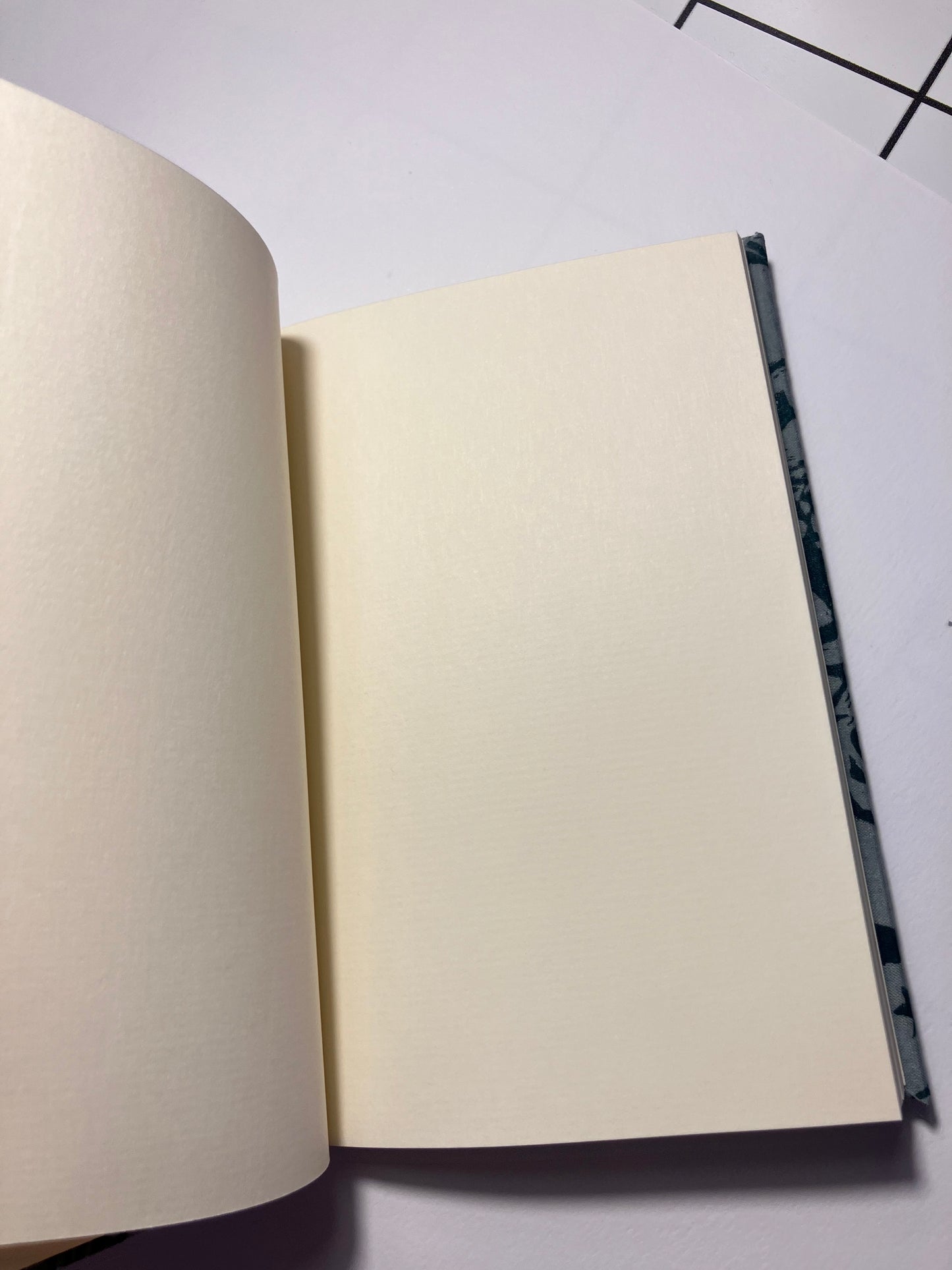 A6 notebook (Kate Grimes Books x Sad Clown Printworks)