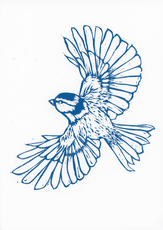 'Blue Tit’ original print